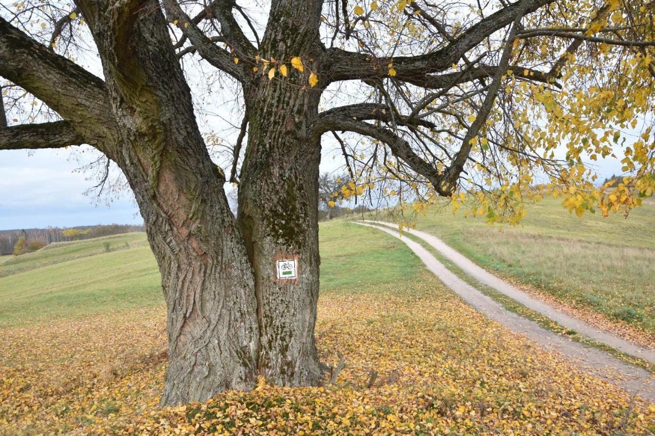 Wigierski Park Narodowy Suwałki Eksteriør bilde