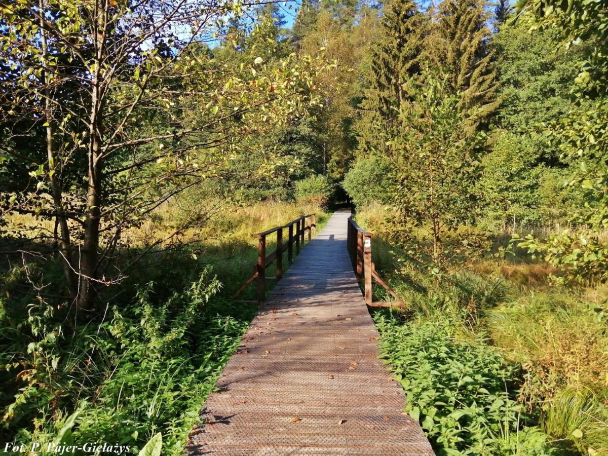 Wigierski Park Narodowy Suwałki Eksteriør bilde